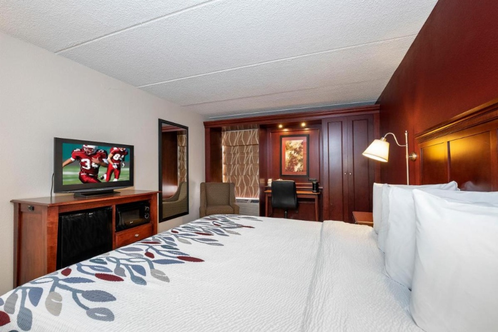 Room Image 4